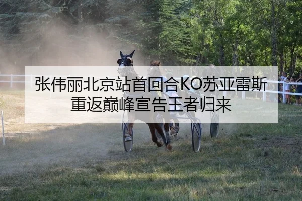 张伟丽北京站首回合KO苏亚雷斯 重返巅峰宣告王者归来